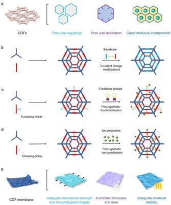 新型共價有機框架膜材料突破能源儲存與轉換瓶頸——記天津科技大學輕工科學與工程學院司傳領團隊的重要研究進展